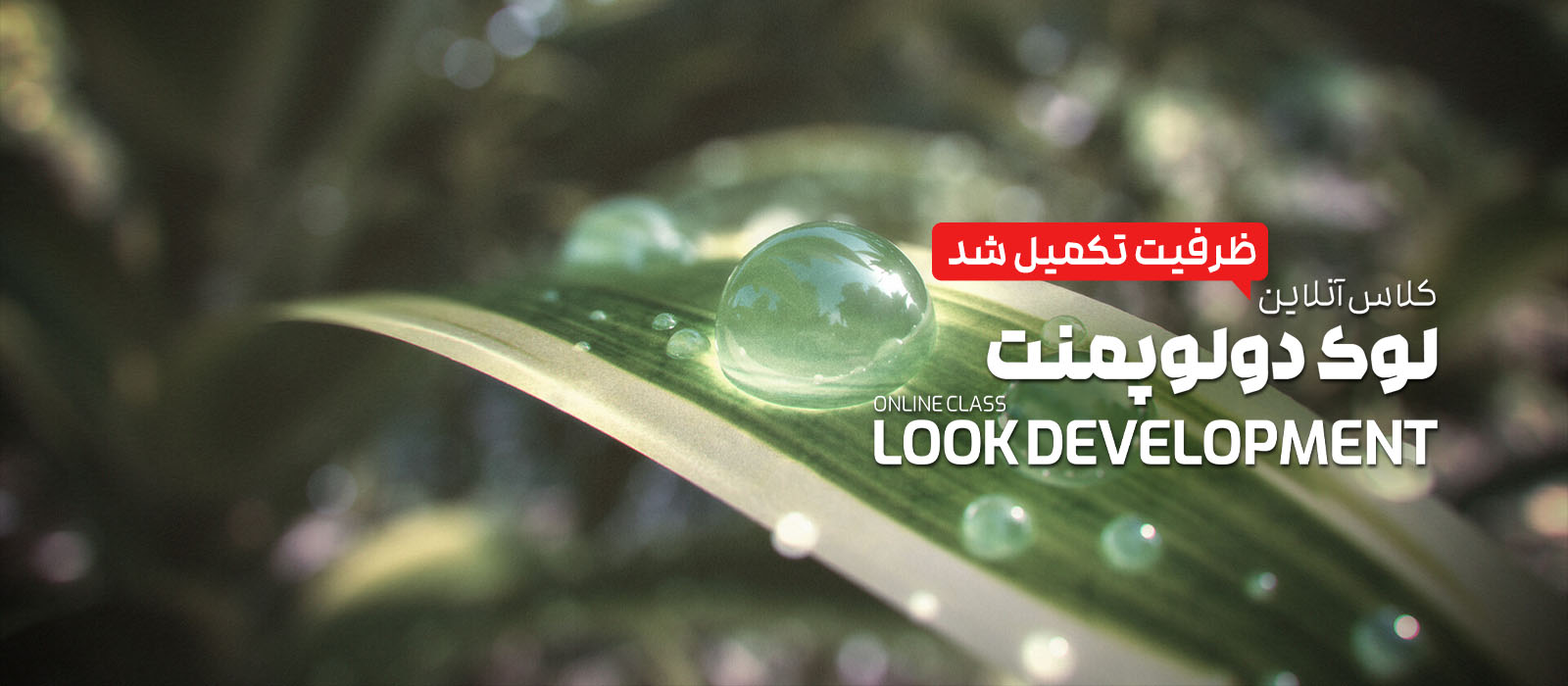 کلاس آنلاین Lookdev